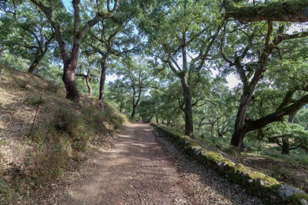 Finca Montemateo Navahermosa  Exteriör bild